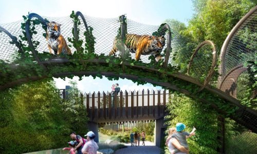 Tiger Bridge